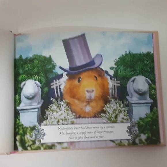 A GUINEA PIG Pride & Prejudice Book New Adorable - Picture 4 of 4